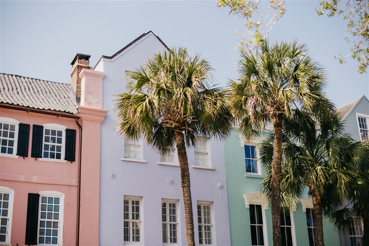 A palm-lined South Carolina street